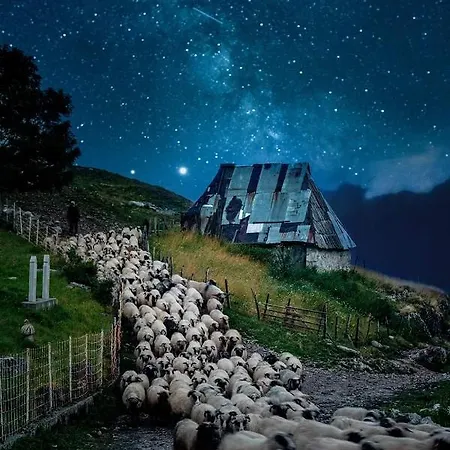 Letnja Basta Gornji Lukomir