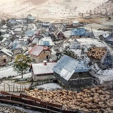 Konukevi Letnja Basta