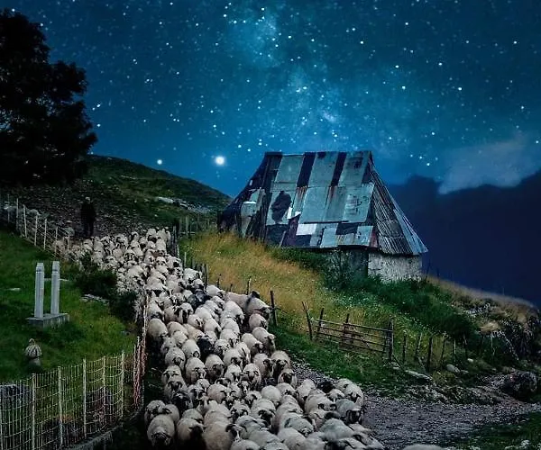 Letnja Basta Gornji Lukomir